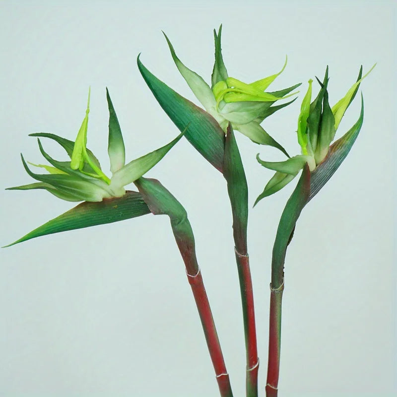 3PCS Artificial Bird of Paradise Flowers – 24.5'' Long Stem Strelitzia Decor