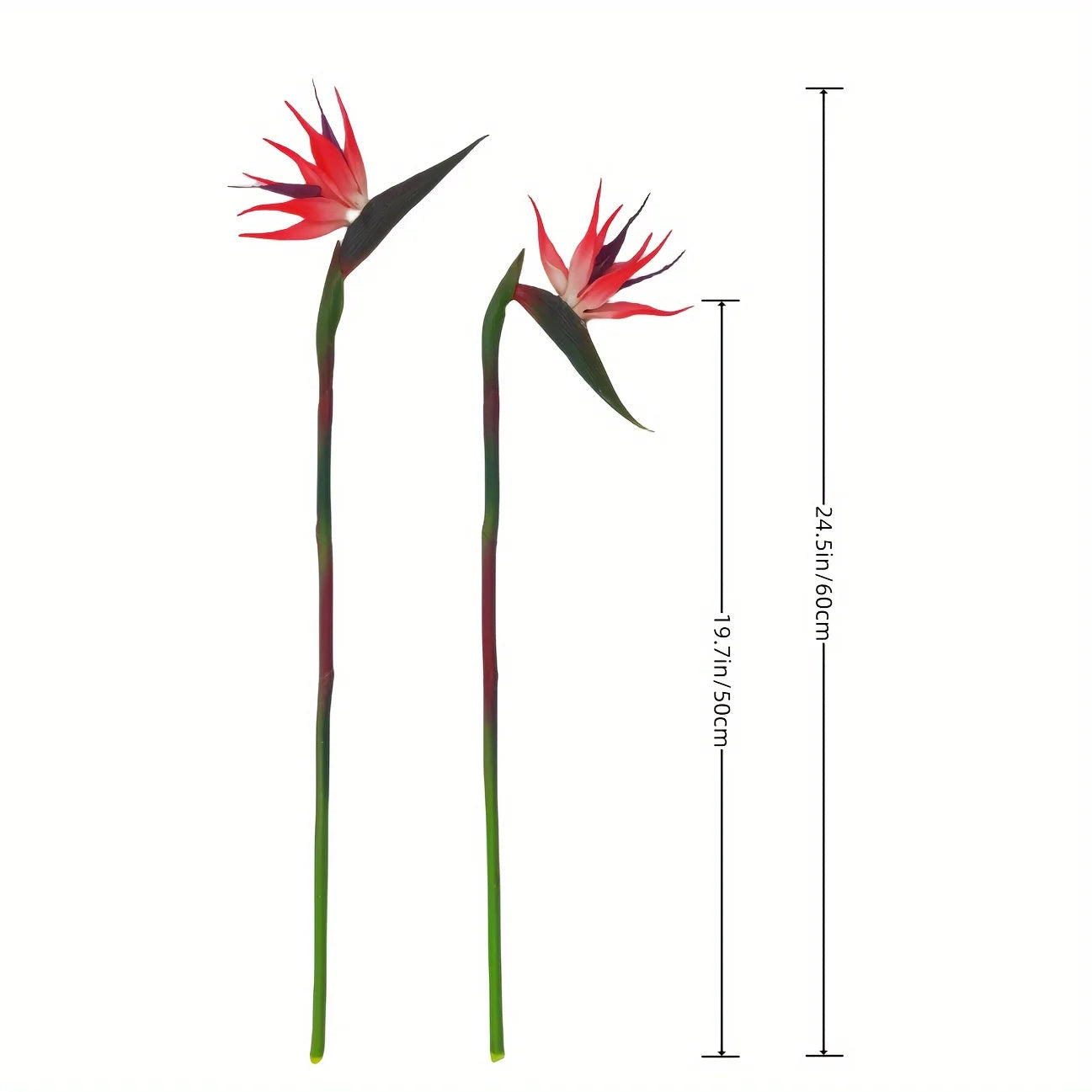 3PCS Artificial Bird of Paradise Flowers – 24.5'' Long Stem Strelitzia Decor